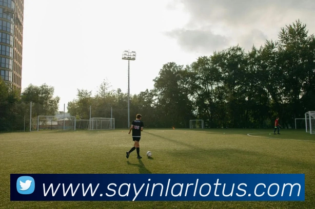 多媒体互动体验
